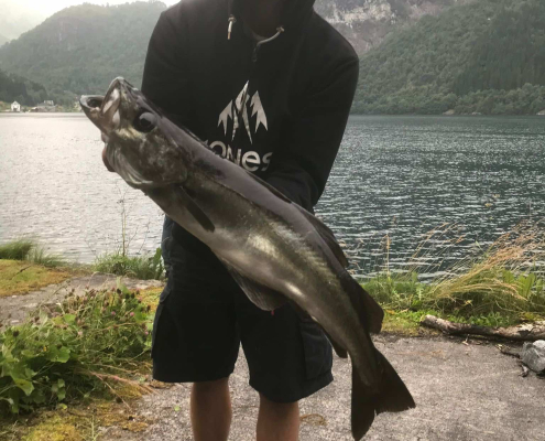 Rybačka v Nórskom fjorde - zážitok, na ktorý nezabudnú ani malí, ani veľkí.